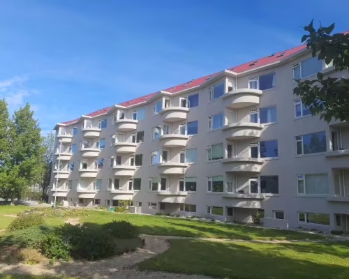 Birkimelur_6-6b
